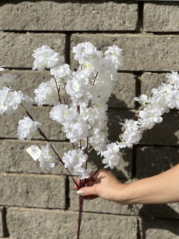 product image c1a639dd97078356b33934eef045bc46 scaled