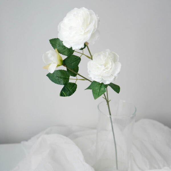 product image c2ebe647a76fd249339192f2c7b86828