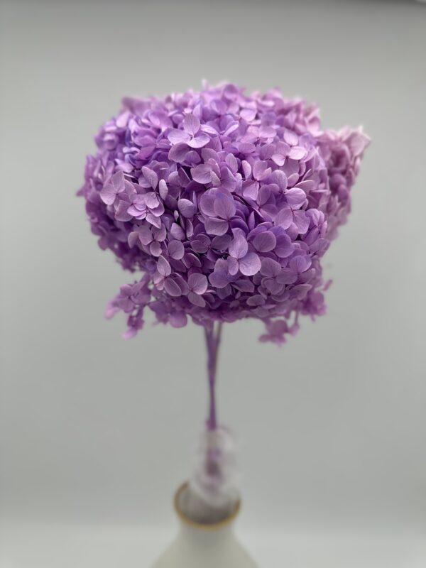product image c71f0e6f6791f53612e9d3310ee874aa scaled