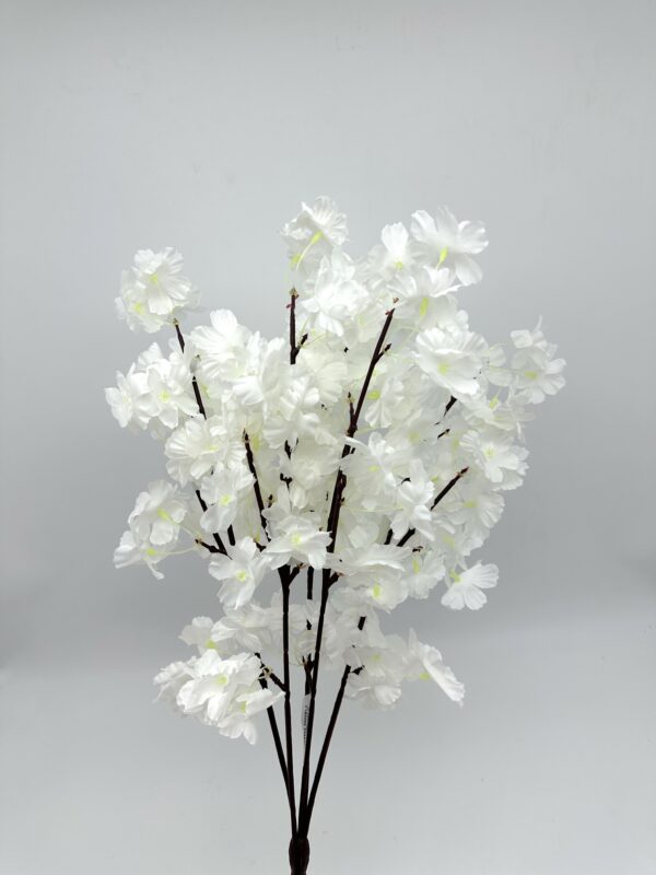 product image c87bc9be790c532a8c4f17ca551a404d scaled
