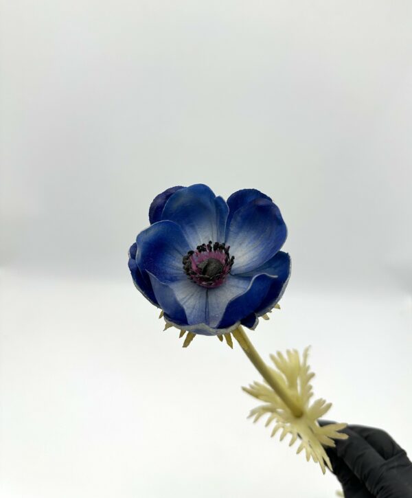 product image ca0261afb7623da0f511cfc347a1f163 scaled