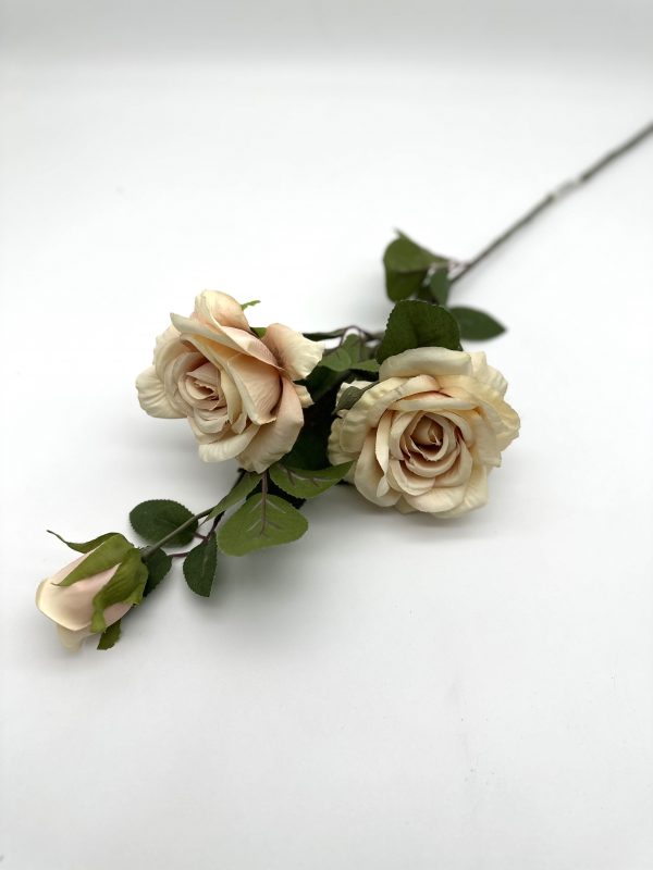 product image ccfc4967de088e7f768d658ed442803d scaled