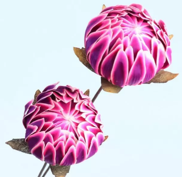 product image ced0da8b43cfa52ca358cead6bd8e24d