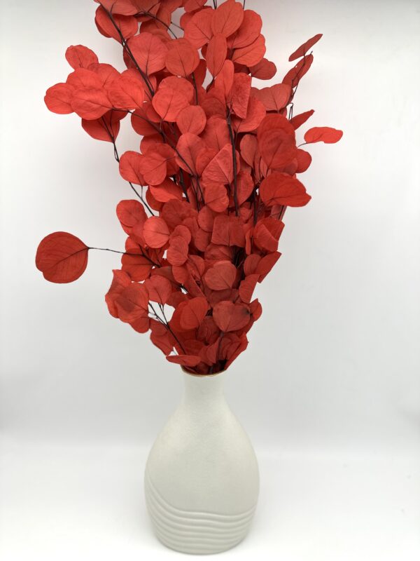 product image d2c9694827a3dc8bcad5627004aab040 scaled