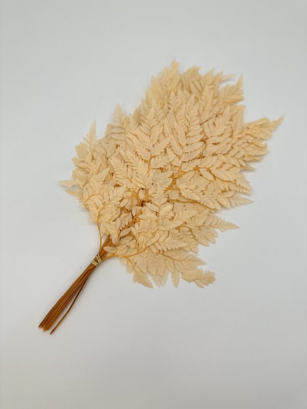 product image d54c5680cc8cb64bb045e397d6400499 scaled