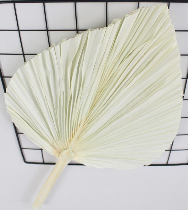 product image d5a76911a4ef629239c9d10050f625b6