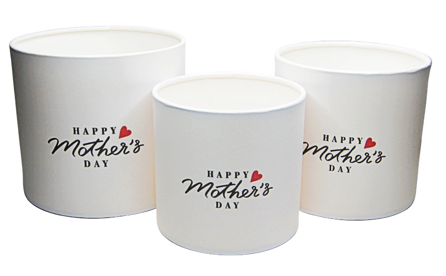 product_image_d729125ed0bdad2438f3943aab8238d7 product image d729125ed0bdad2438f3943aab8238d7