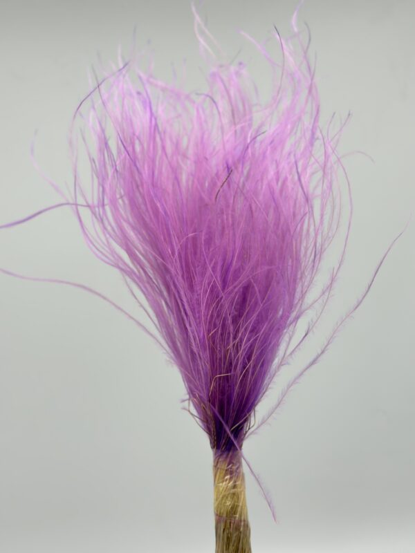 product image db02e85cee43474299952d0ffcec8919 scaled