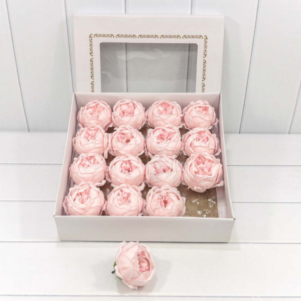 product image de0438f4b7076709fb0c3ff6aad52ecb