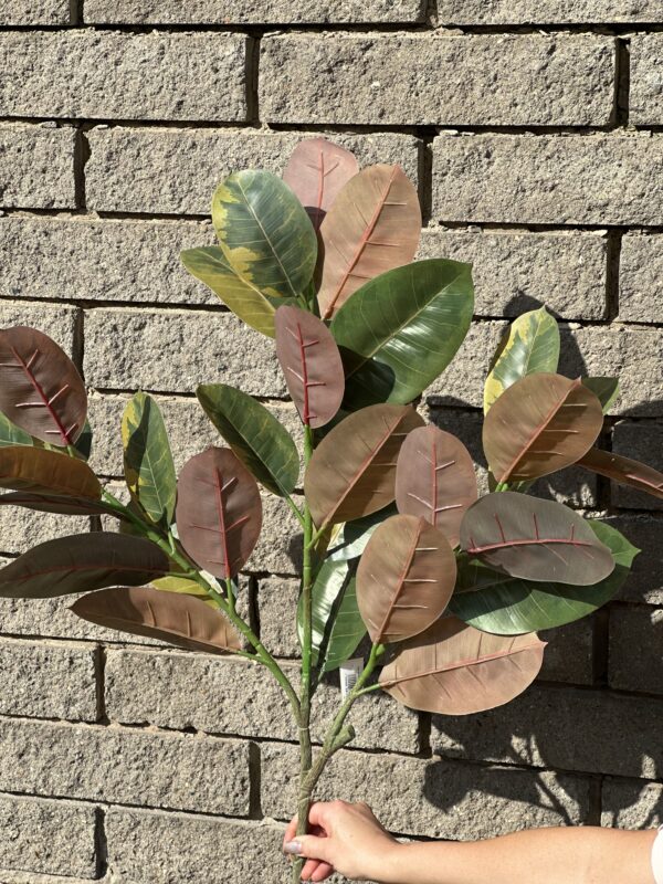 product image e5483955b0bc53368d88b2fa25948eb3 scaled