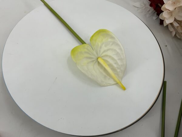 product image e9dae25fba67f7ea631f4330936ef47b