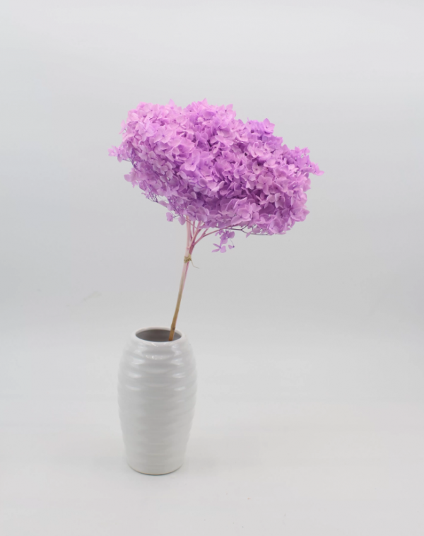 product image eba193923e0089661f434ebb9f2beda1