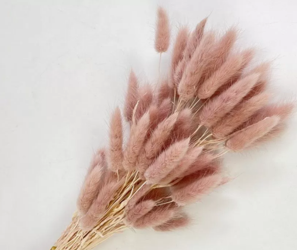 product image ed6f5646b4d3be9be7bc351b15bf82ec