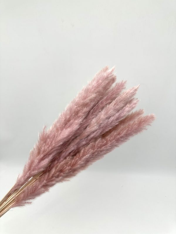 product image eff2181317c5fccbd0d253d0489f7aae scaled