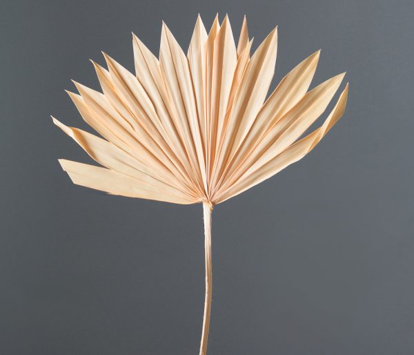product image f03c23d0dcd52ad72ecd51c6f05b68d6