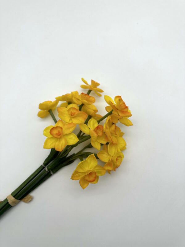 product image f532323567aa633e33008124f832a9a9 scaled