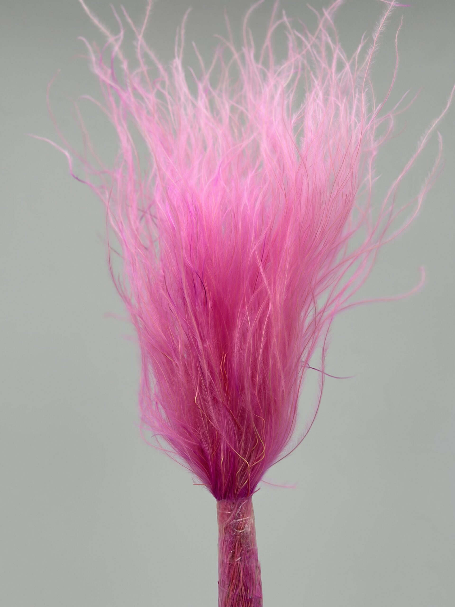 product_image_f97e348ca5a4a7ce66fee65da145d016 product image f97e348ca5a4a7ce66fee65da145d016 scaled