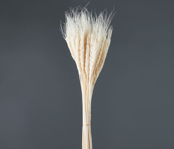 product_0e7c061cb9917df2753d31f3d98e3301