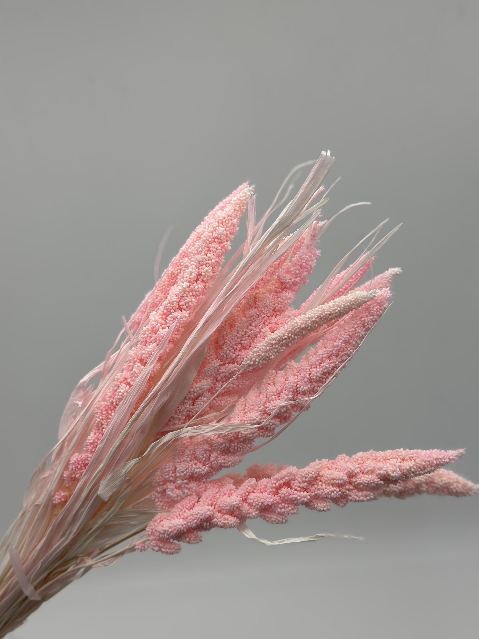 product_0fb0897002d4d2e7aa1f306035591203