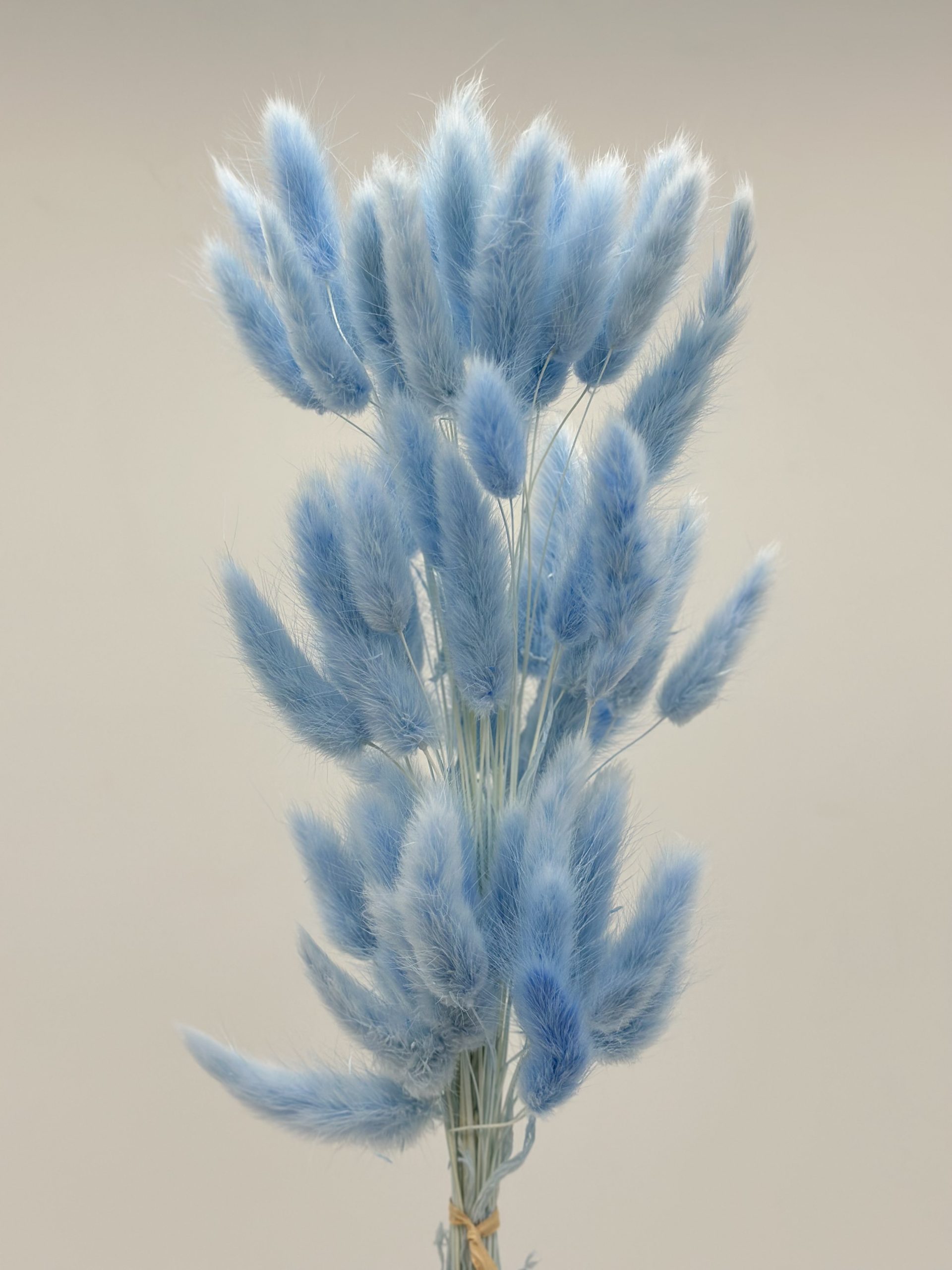 product_17f2c3cd60639da2054d35f0841c0616