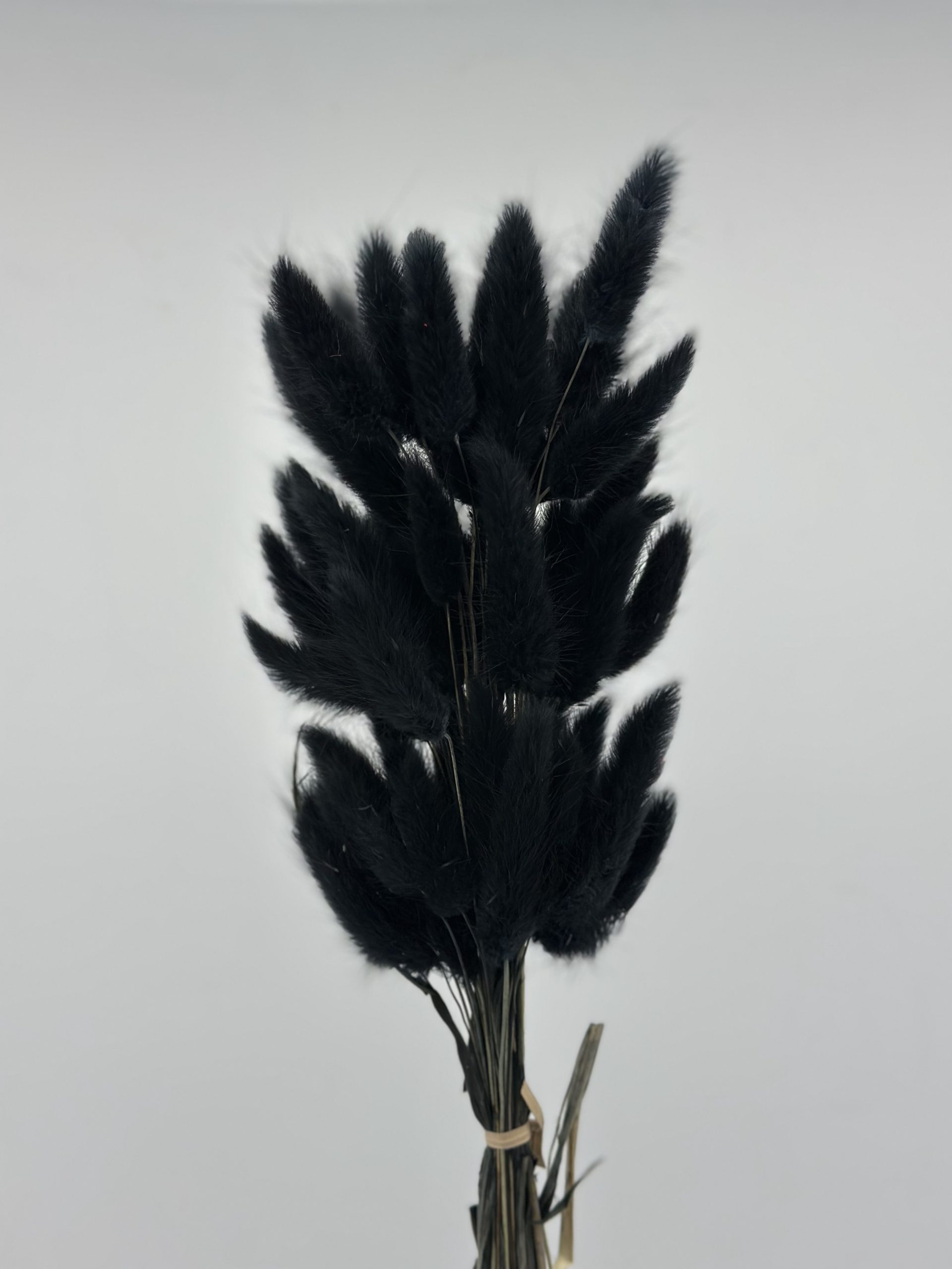 product_1b90824478c3164b1d0940285bec2553