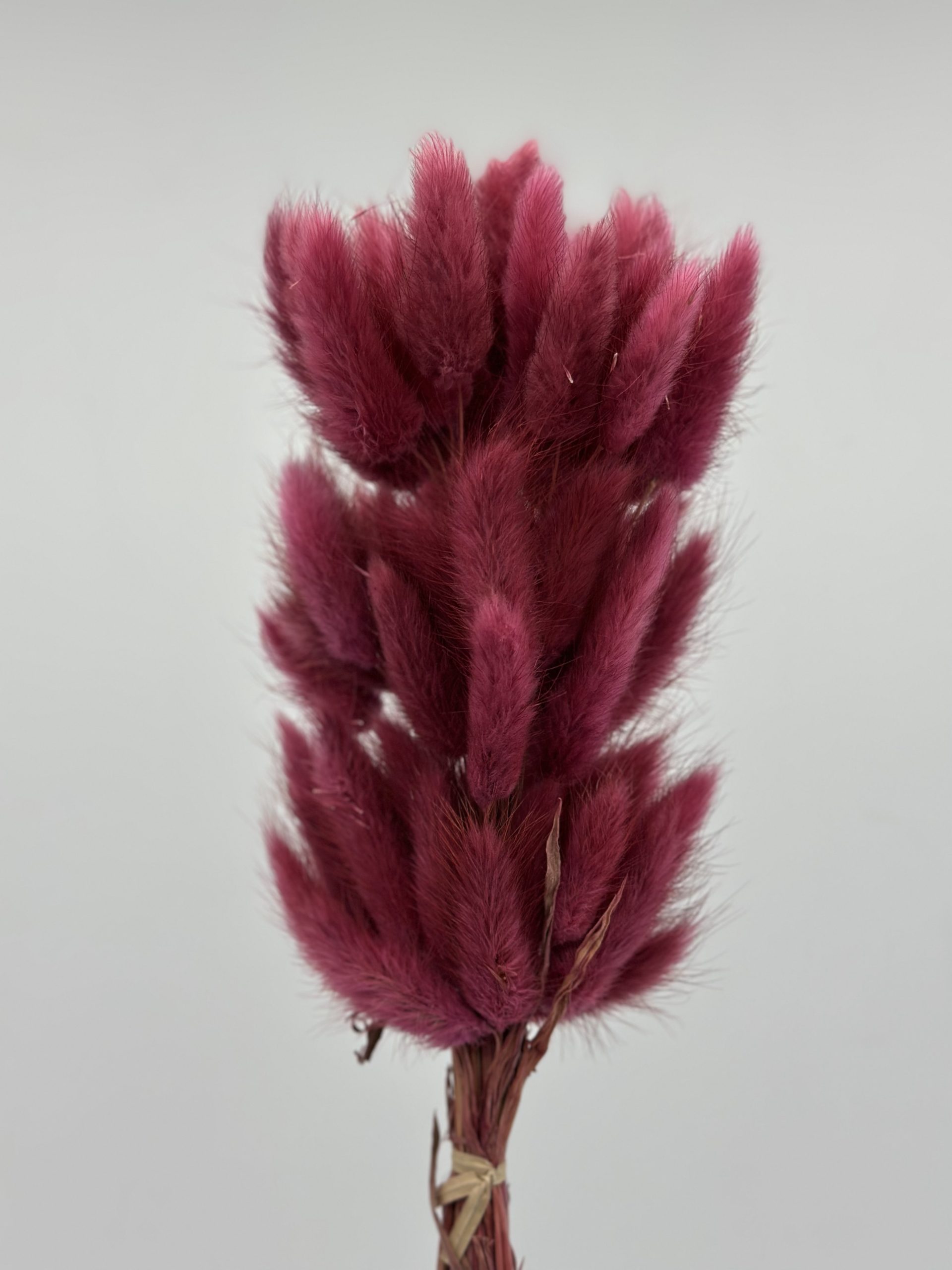 product_1eef2844ad044ab2fc04bf304213cebb