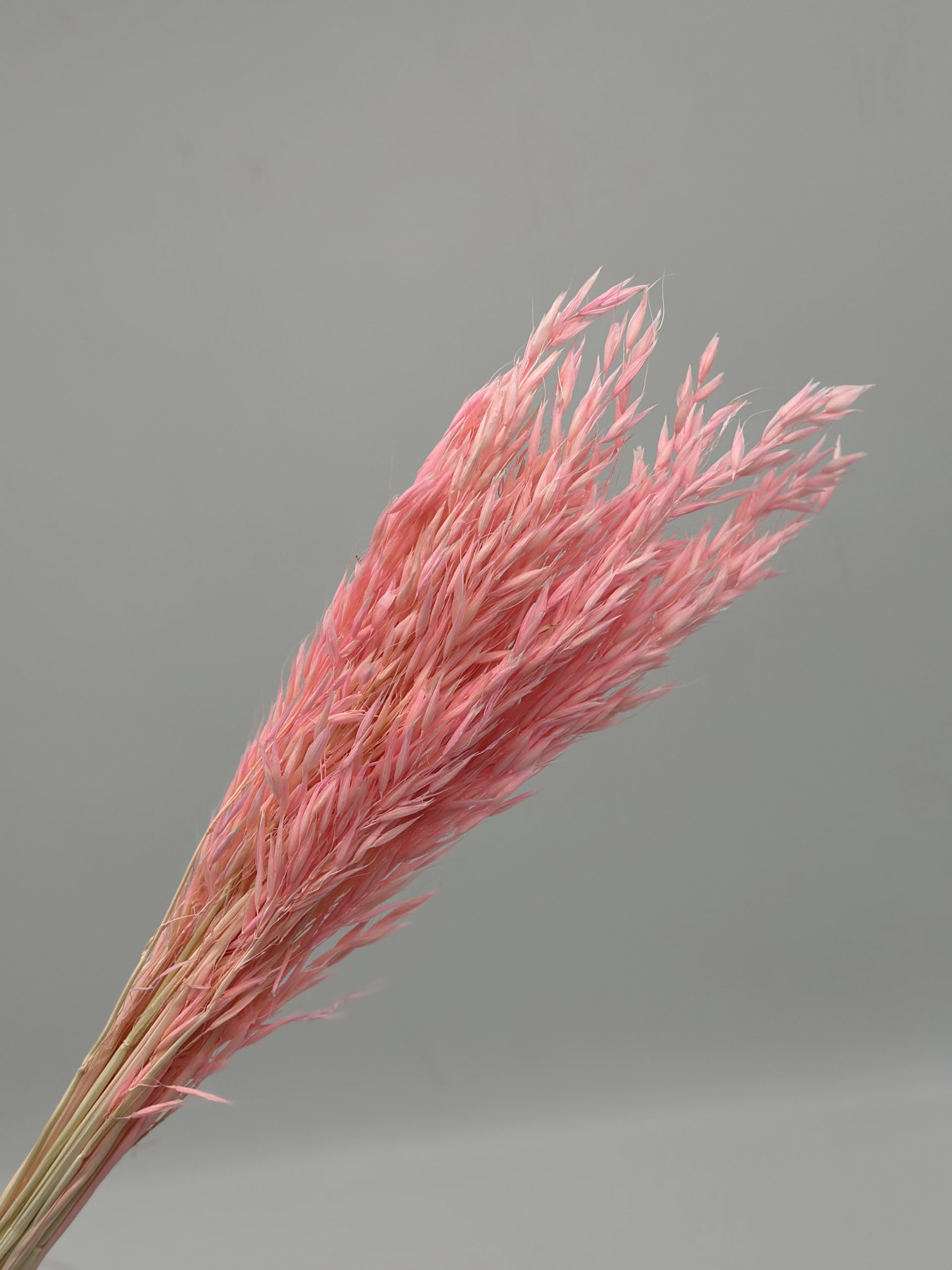 product_20b504a2bd45765d13acf2e7c9c17cd1