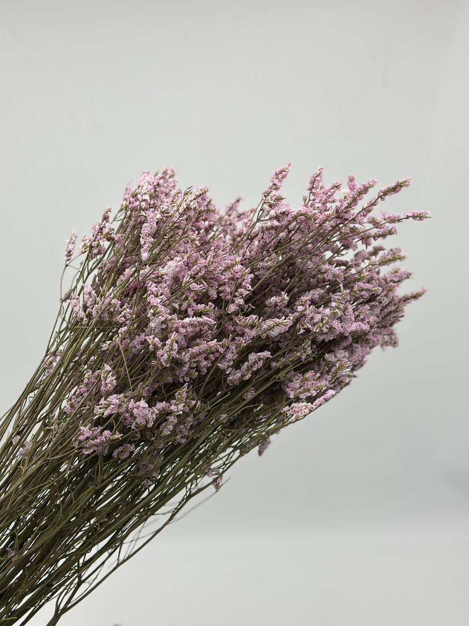 product_2171f79e9507d181101db3a4a03c7358