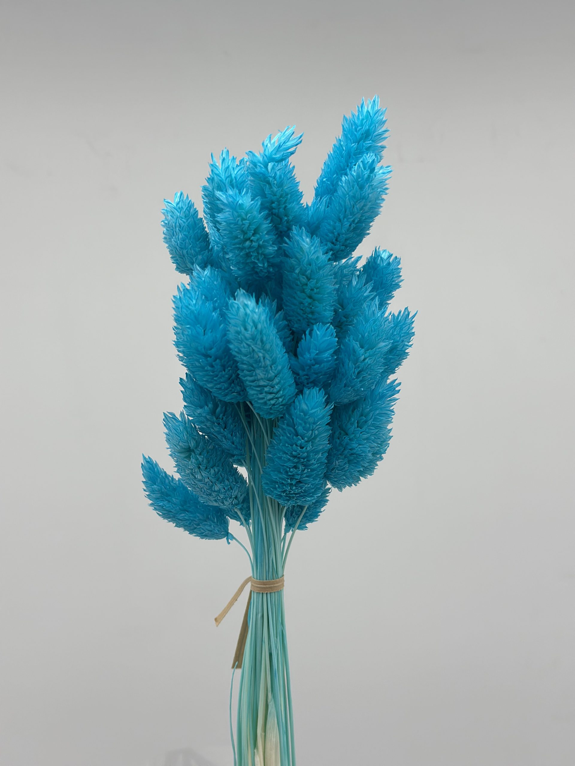 product_295a058712ddb6509056e7d9c2c92a24