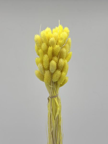 product_2a1feb42bd0db7c0db2f09cc608de104