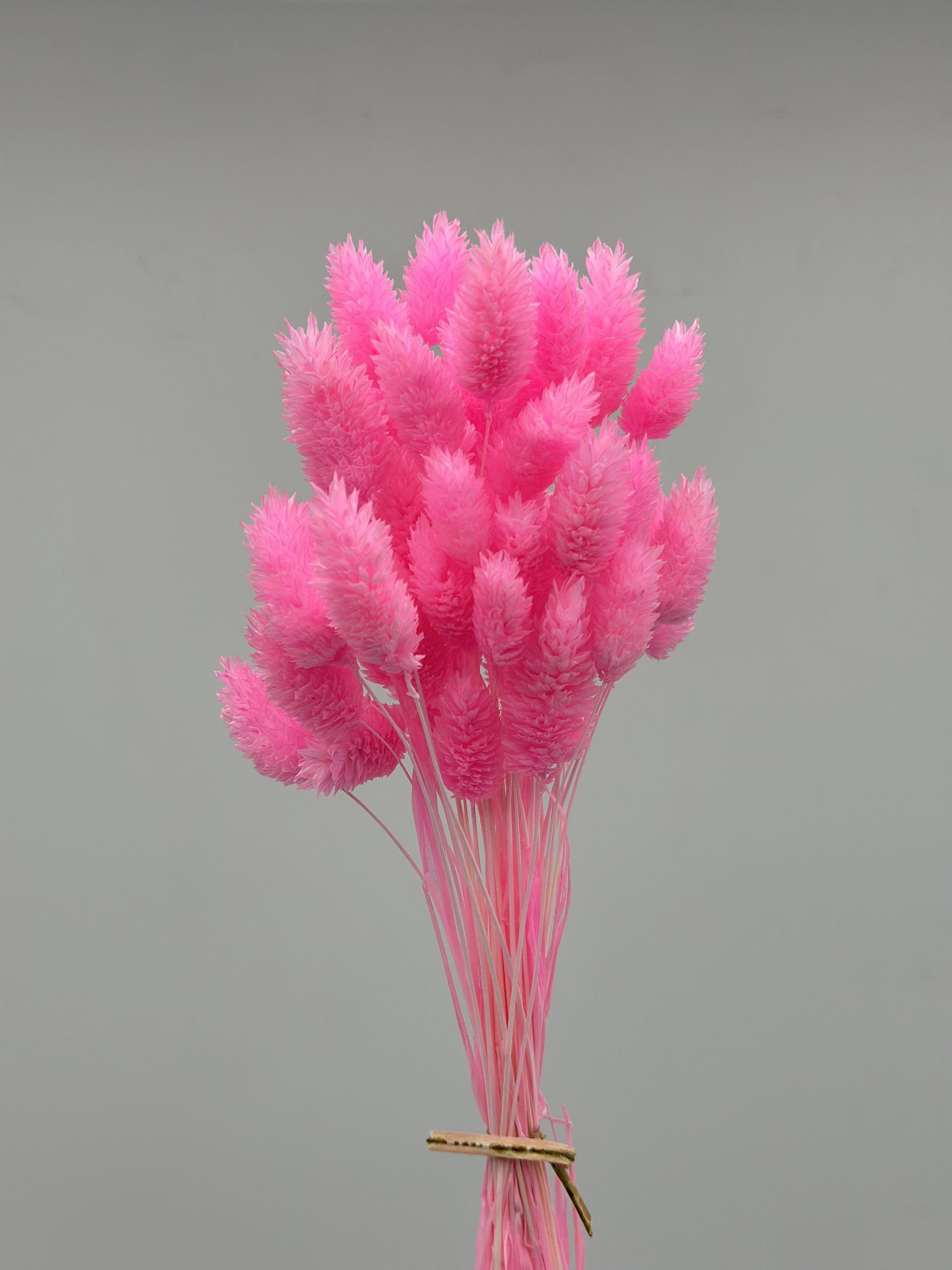 product_3c74ad935367fecfbd047a2a46d33c21