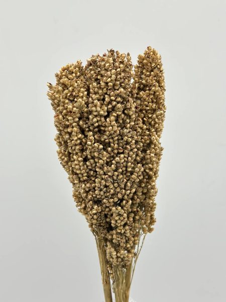 product_51270f8df48ecb741fa406119d8a91f8