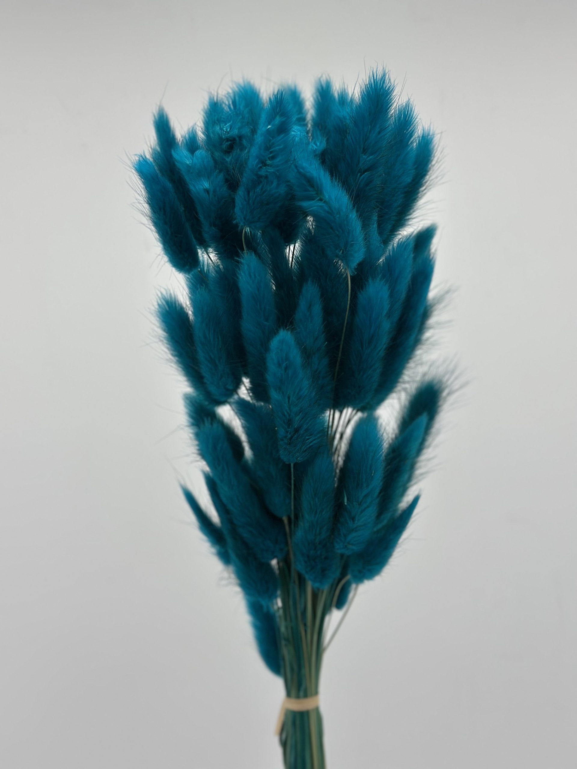 product_5606696d500711865636a97f5004724c