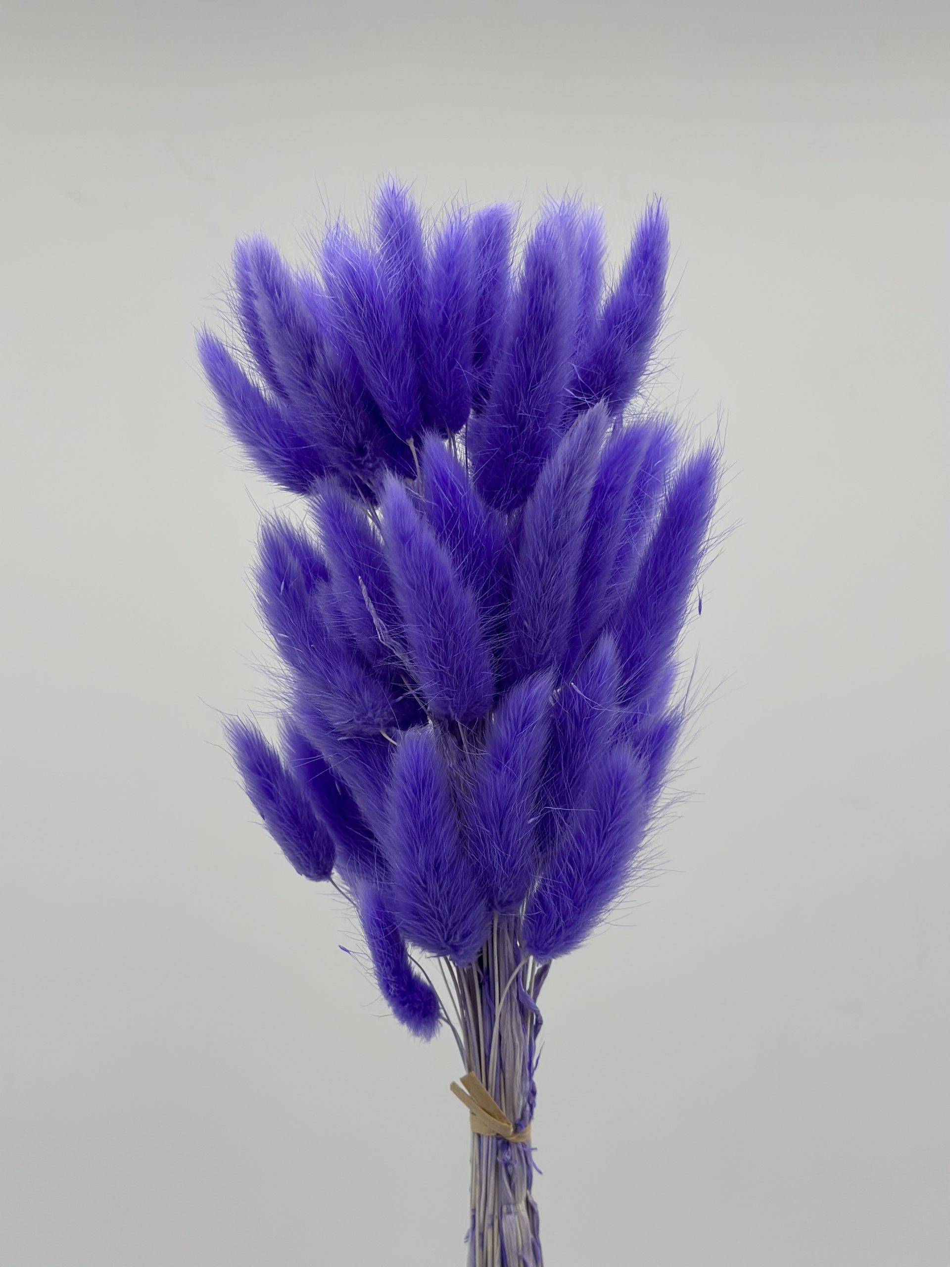 product_59392d5ea3946d260b89877613790faf