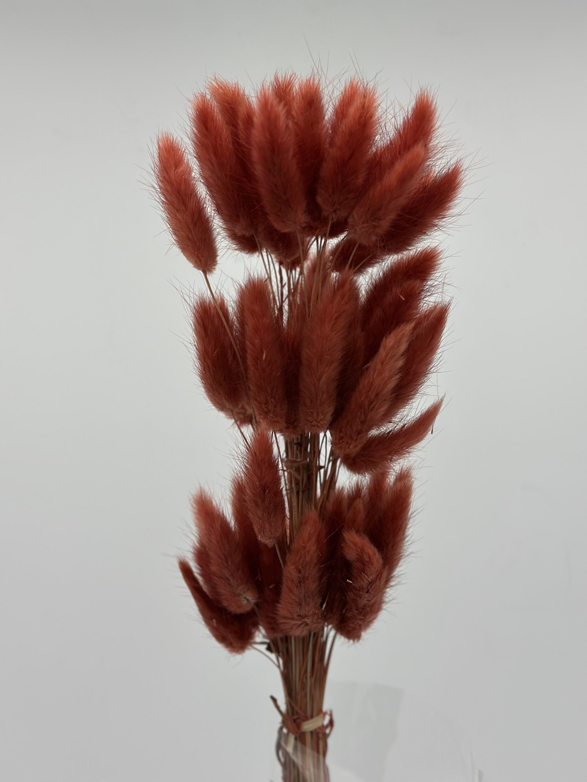 product_5db2dac874665e68b22b9cd9eeffecf2