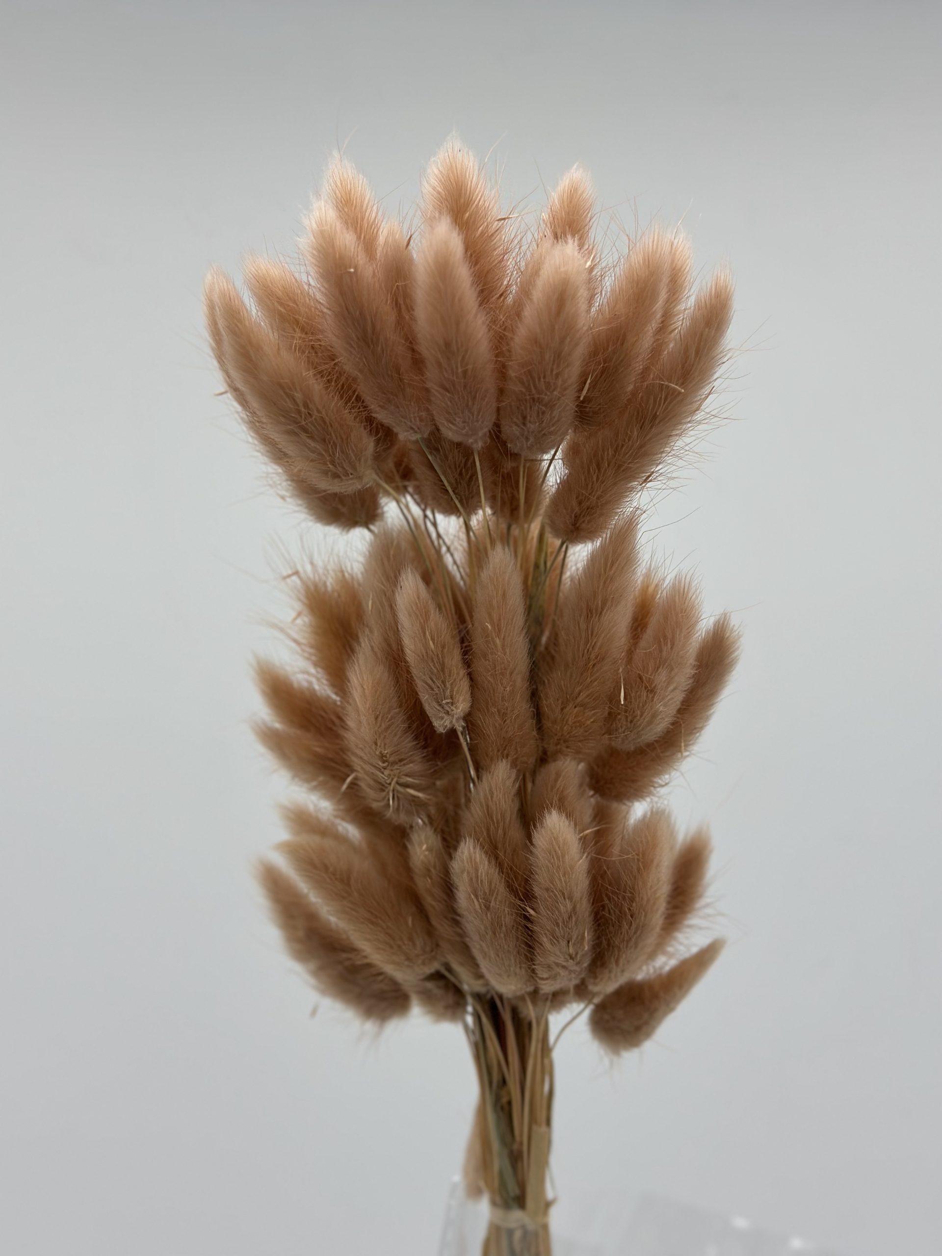 product_5ef5608355adc87b72d56e401ef49870