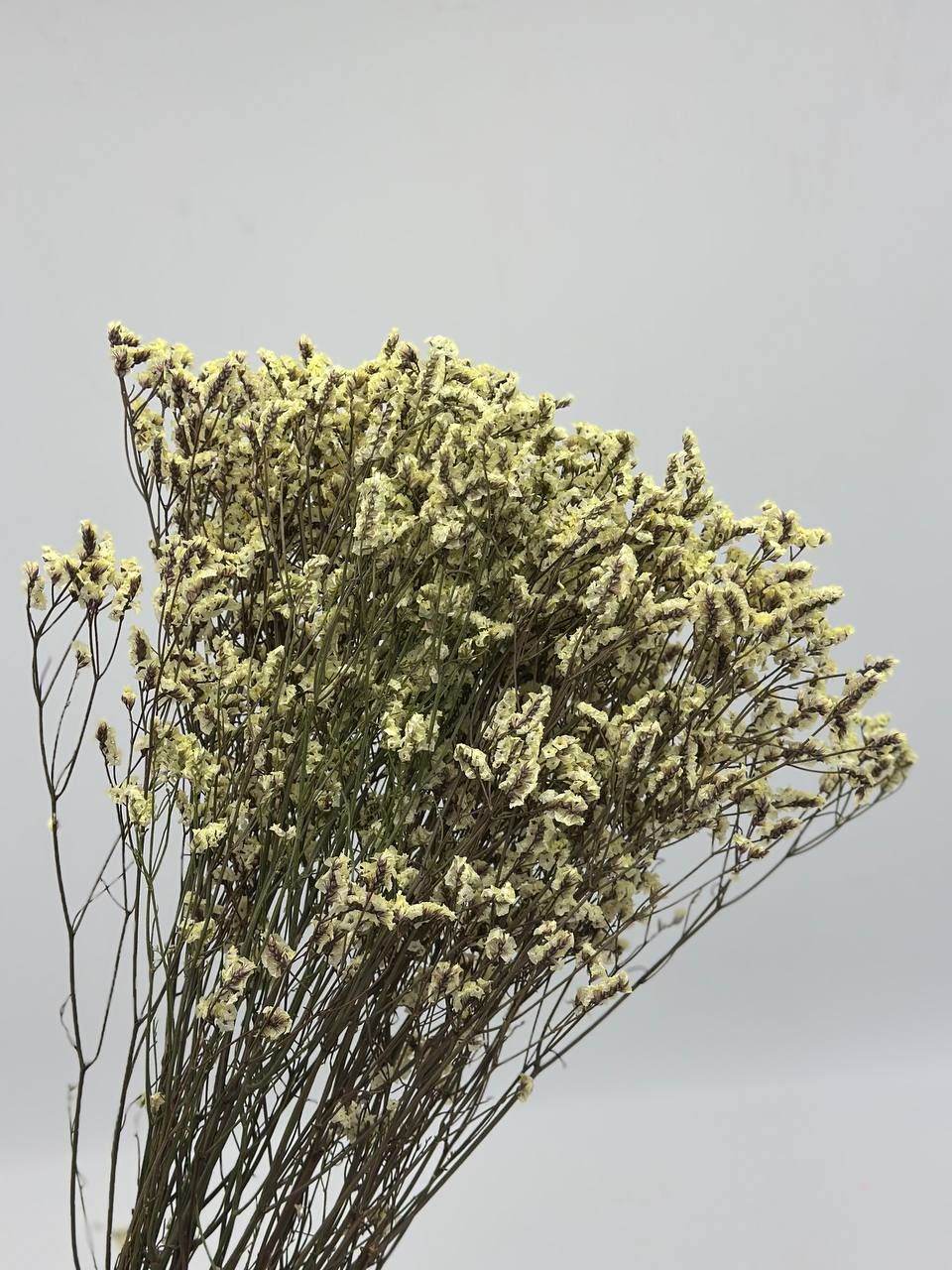 product_67708f3260f9cb4780547fbc95d1c463