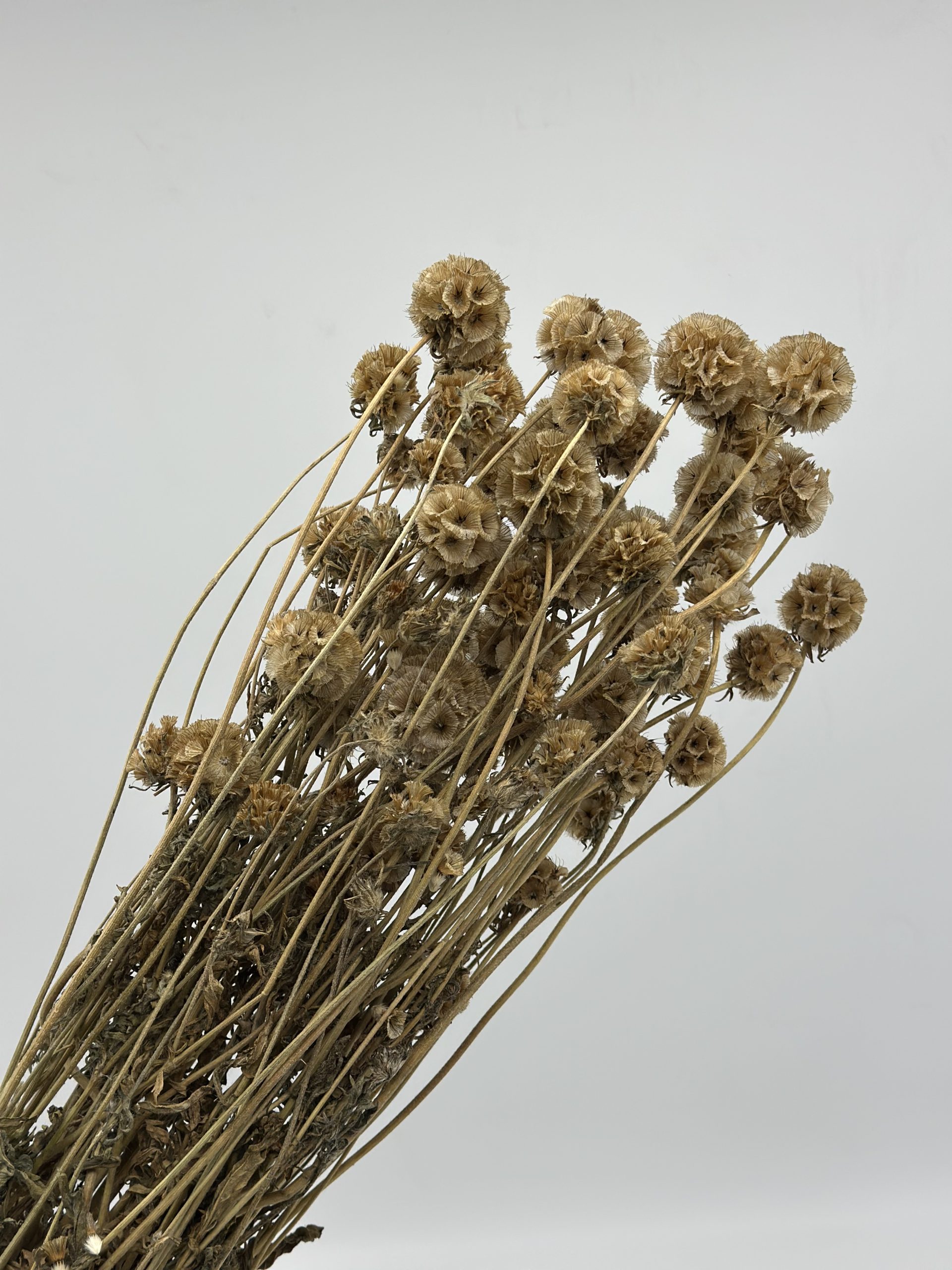 product_6c4c463deeebb6455df163f80d06dacf