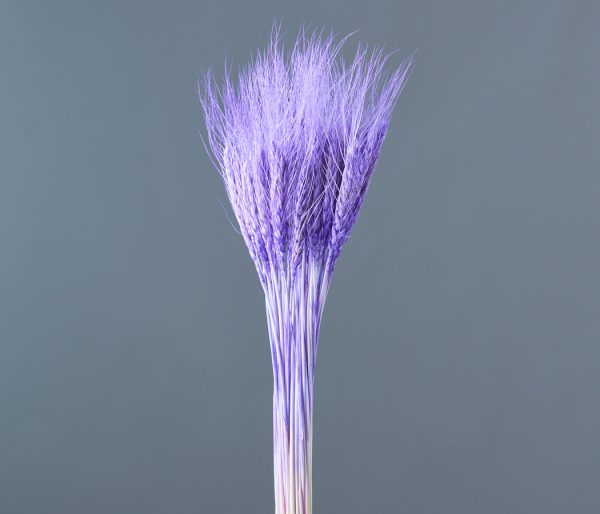 product_7b276317f20a05f96ac36473455bdaa7