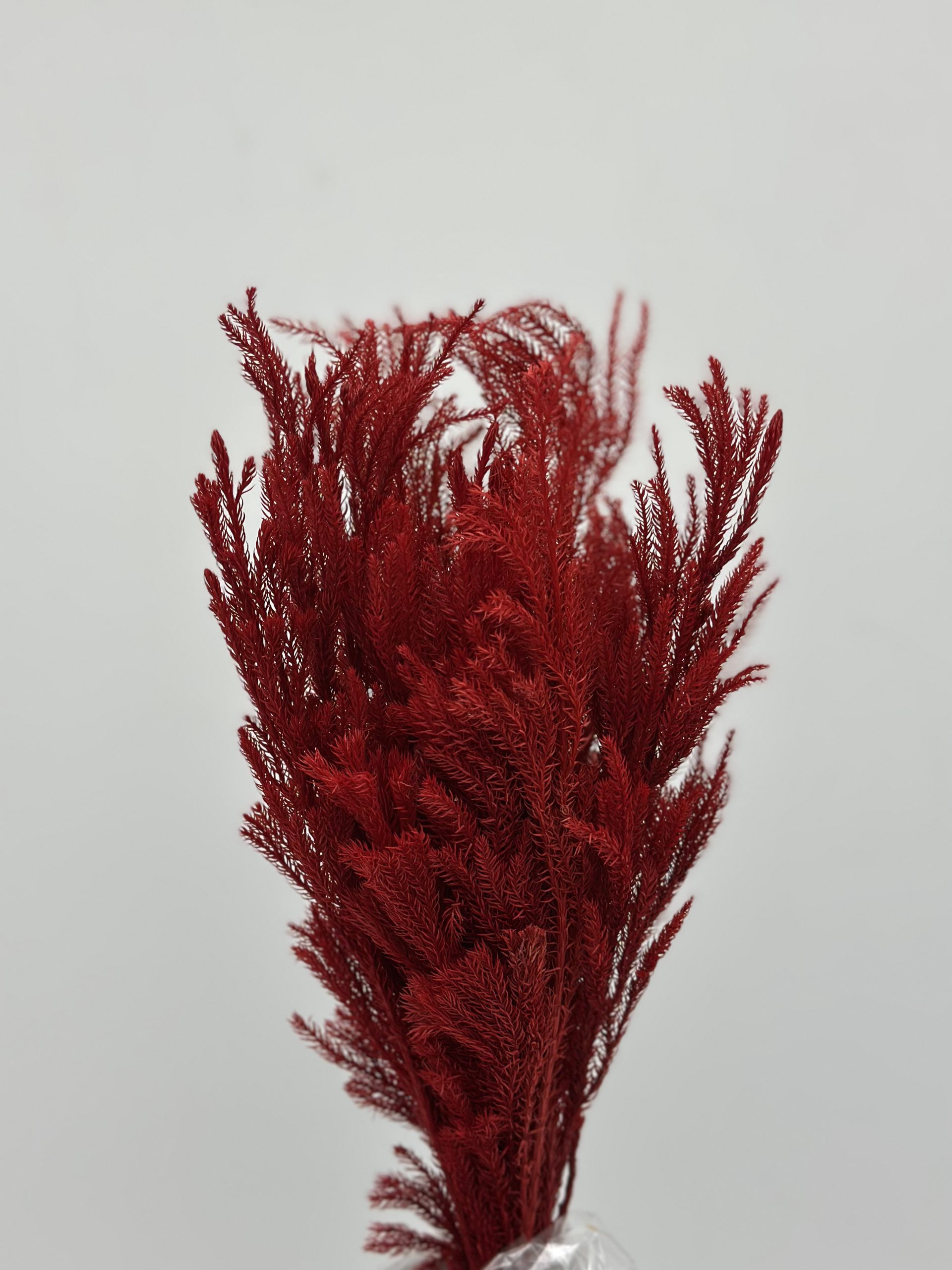 product_7b9d24f28b43242305a309c05e6c9702