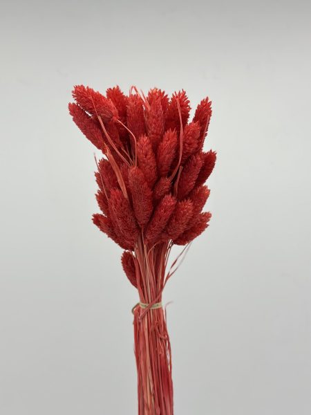 product_7bf8f84af8c3e6532eb32e97ca009003