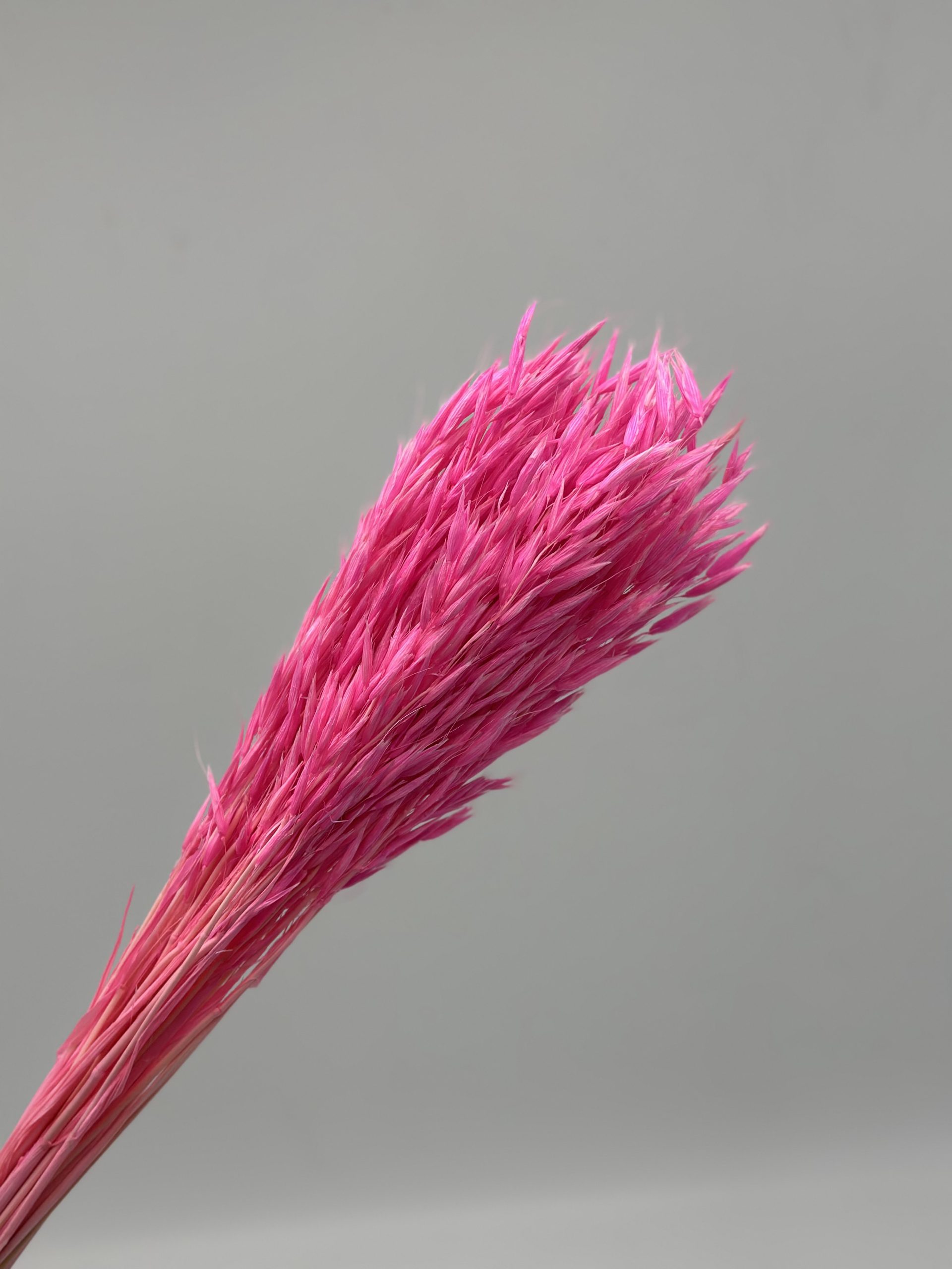 product_865abbbf48f2b3231615fa74c8a45e4a