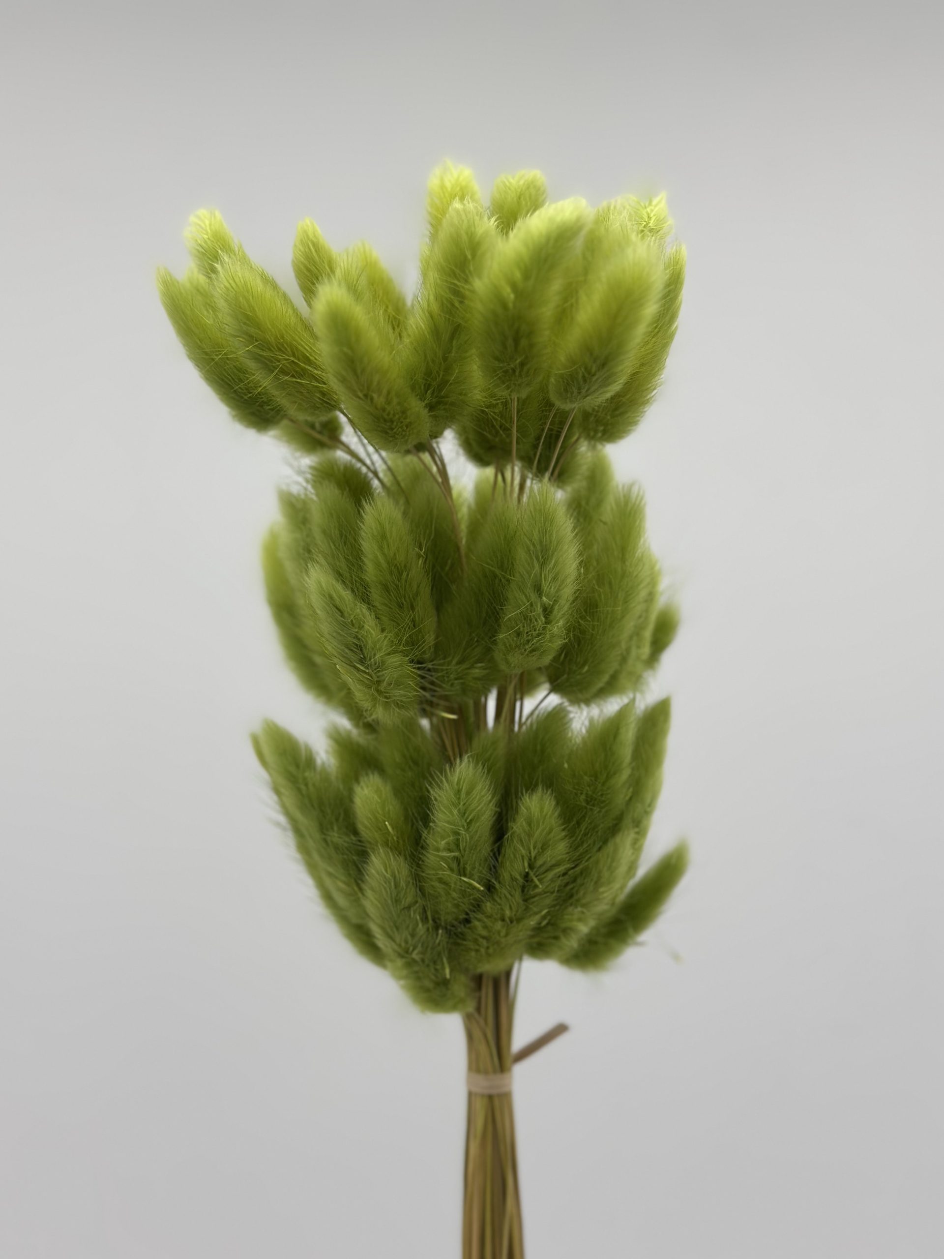 product_8e93e46ae7ce2f44aa07f4d20267510d