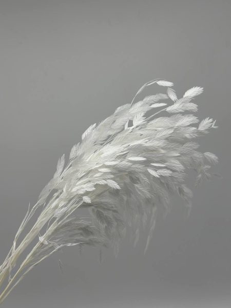 product_91ffade254dc1eb361e0f7ae95269200