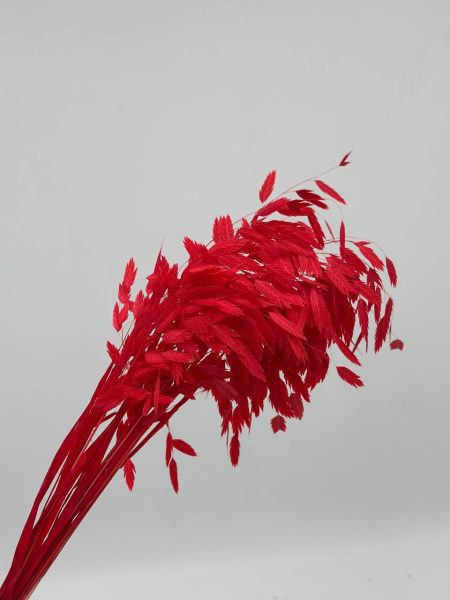 product_9984eff247a67456f2df11c4a76cecdc