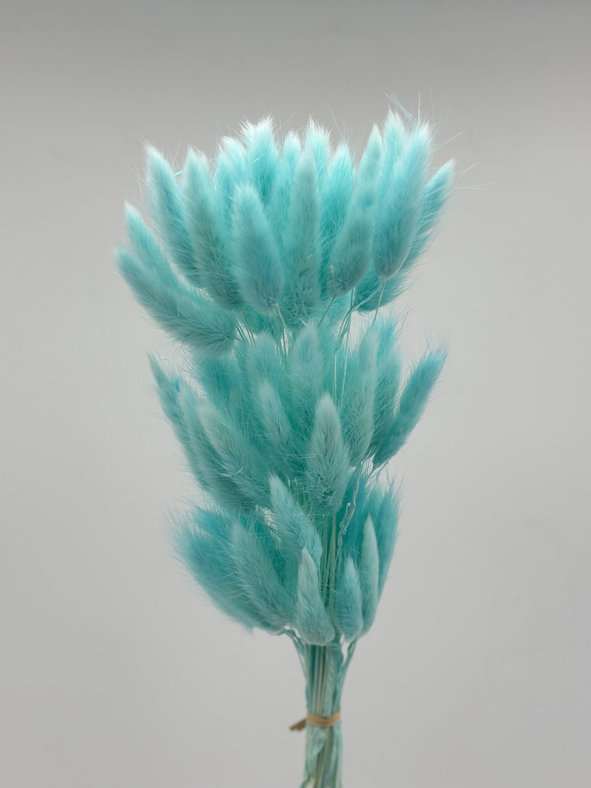 product_a114358bc3a97a40d85d9beff6c22f70