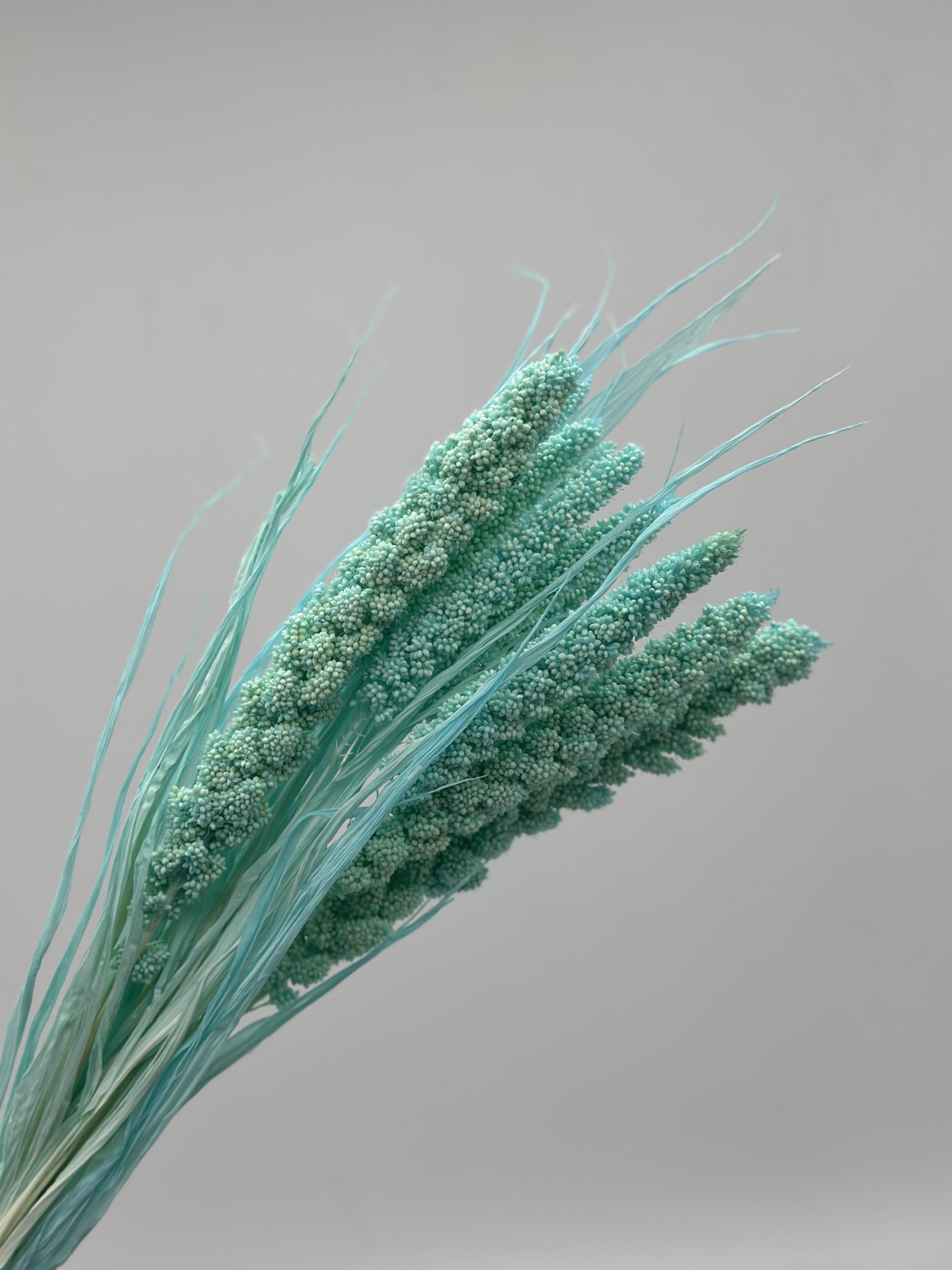 product_a1c44073d603a88b8414b5f44a0289e6