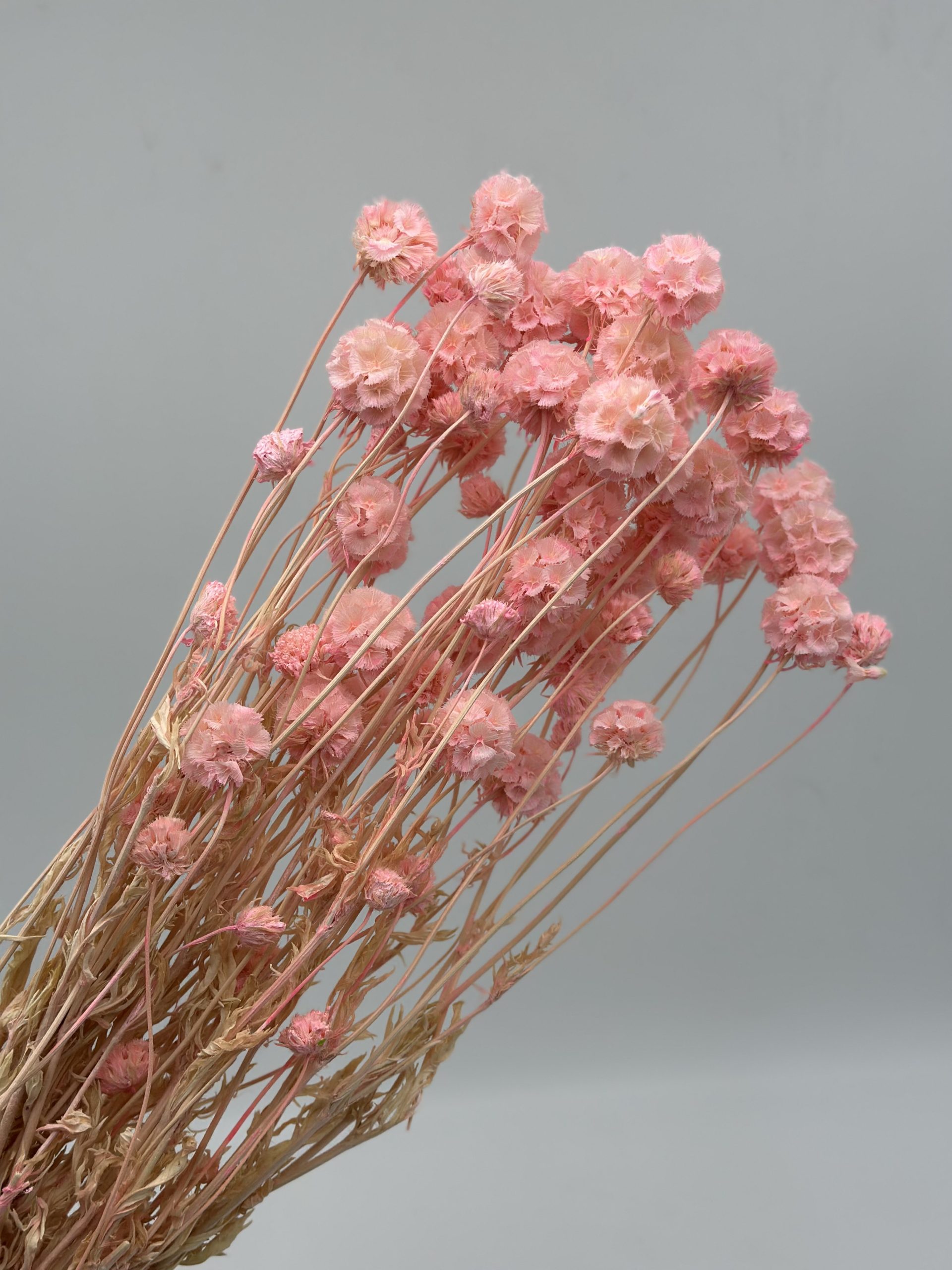 product_afe18767ac9380d79c7f07ba189d72e4