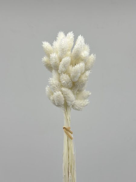 product_b46b3c170e7a852191a423d1deb76570