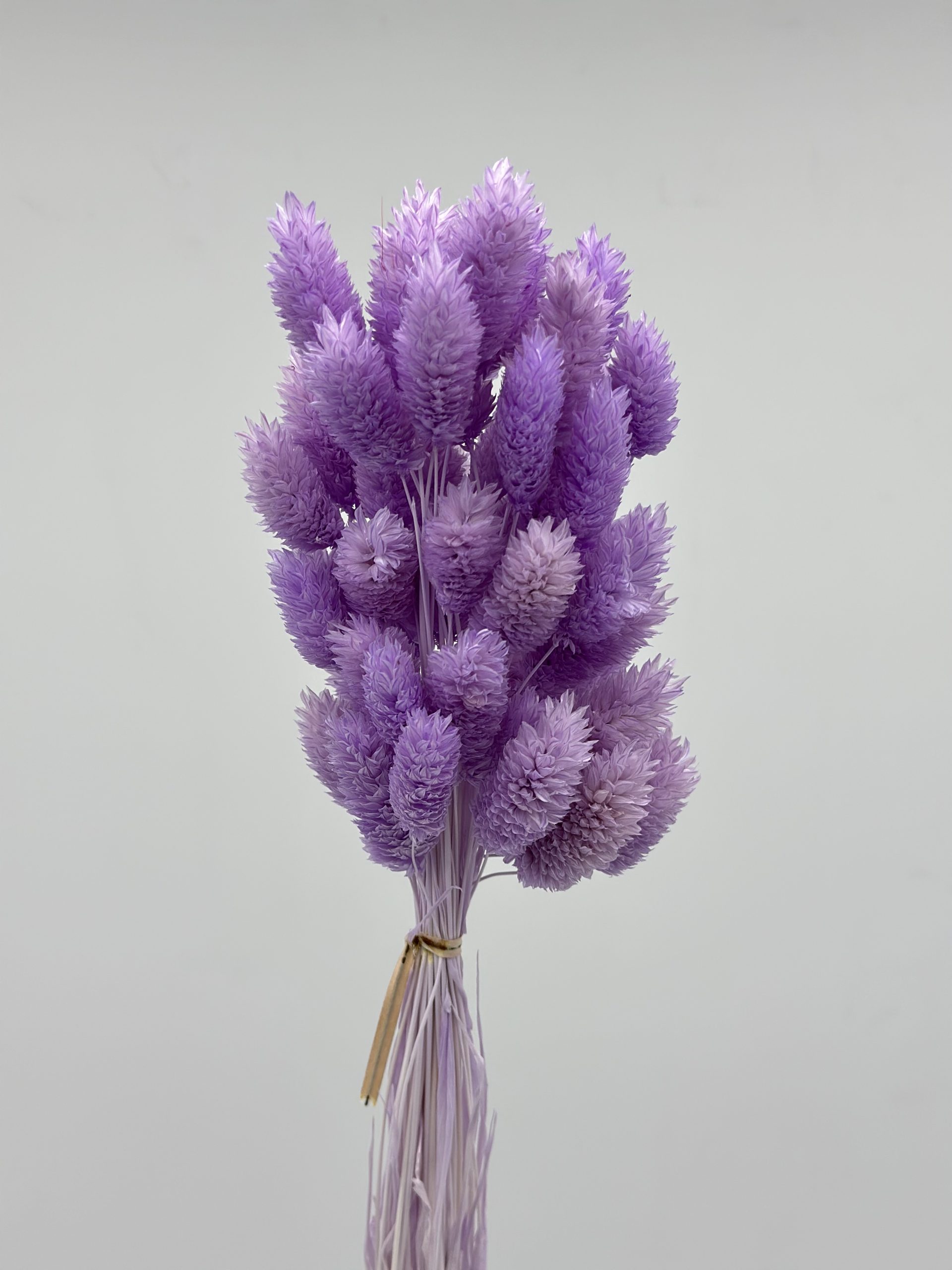 product_b6a36e3ab6df4b2a894c538edfb8e861